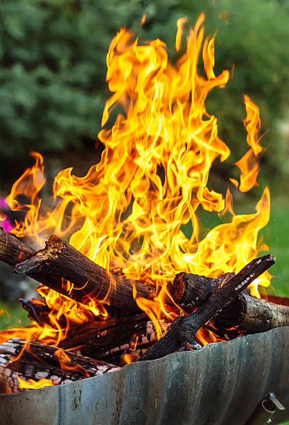 istock Wood fire prepared for barbecue. Flames and Burning coals 612245862