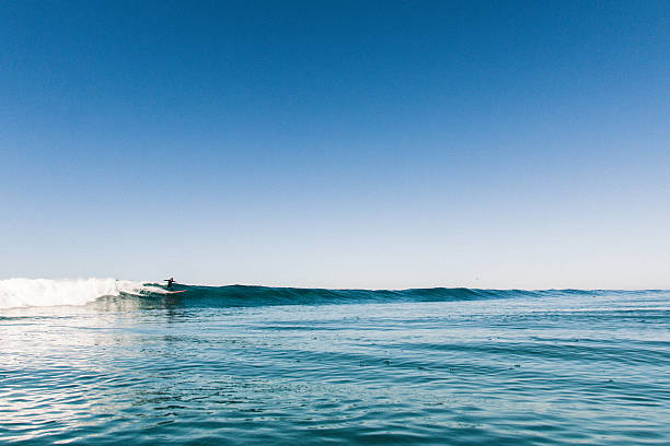 de surfe  - california encinitas beauty in nature blue - fotografias e filmes do acervo