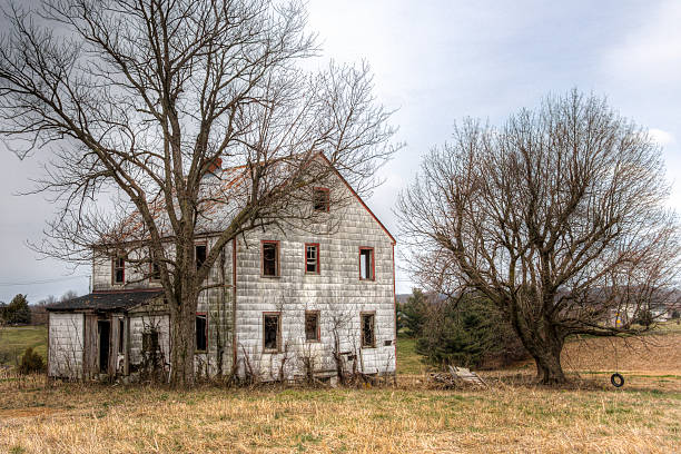 istock Abandoned White House With Tire Swing On The Right, HDR 612246054