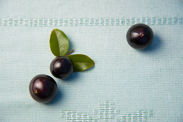 Jabuticaba fresh fruit over the table