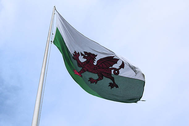 bandeira galesa - welsh flag welsh culture flag green - fotografias e filmes do acervo