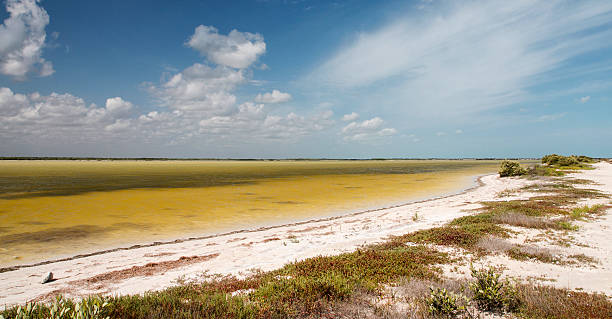 Landscape of Rio Lagartos, Yucatan, Mexico stock photo