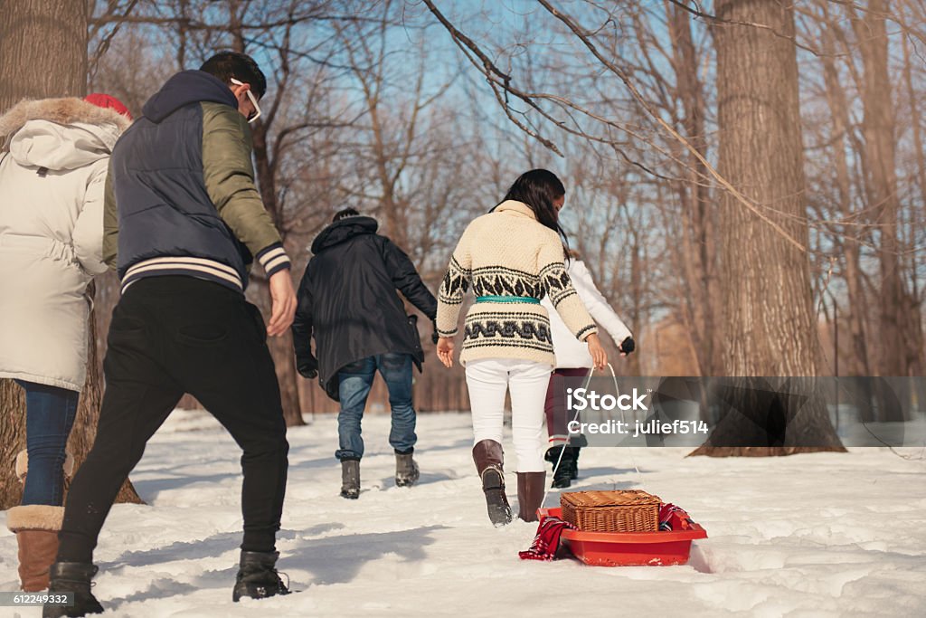Grupo de amigos disfrutando tirando de un trineo en la nieve - Foto de stock de Actividad libre de derechos