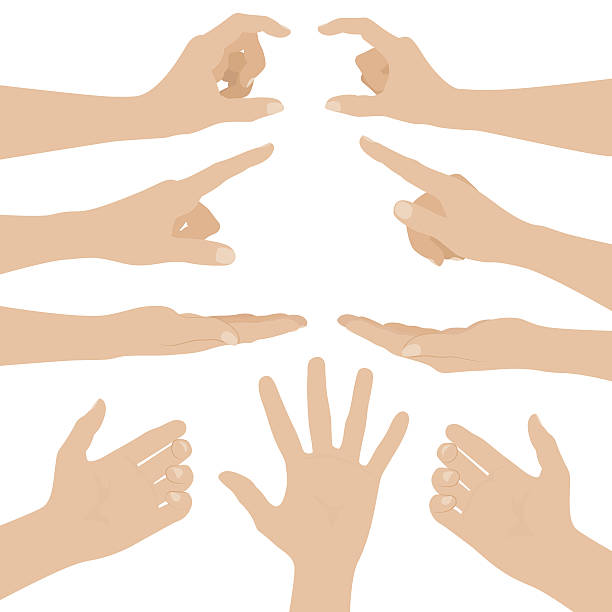 illustrazioni stock, clip art, cartoni animati e icone di tendenza di collage di donna le mani su sfondo bianco - avambraccio