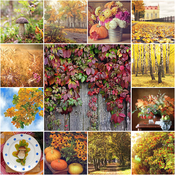 istock Collage from autumn photos. 612250684