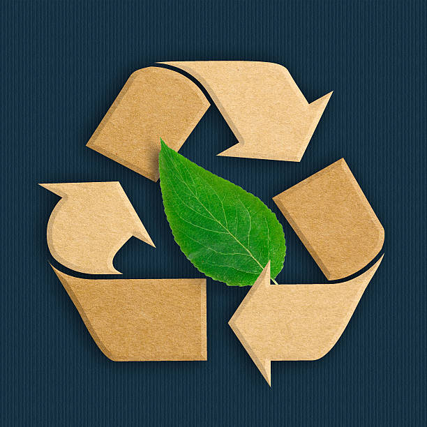 istock Recycle logo from recycled cardboard with green leaf 612251046