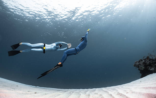 istock Freedivers in the sea 612253166