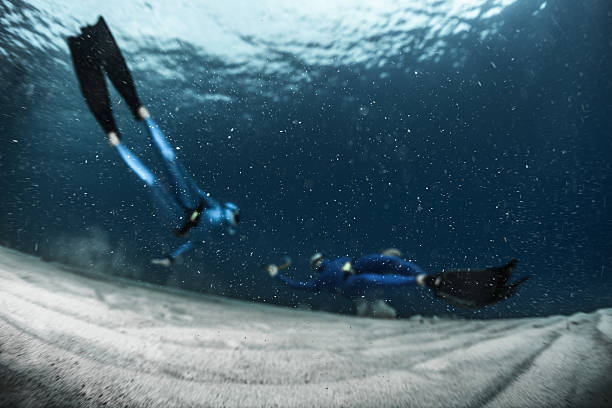 istock Freedivers in the sea 612254130
