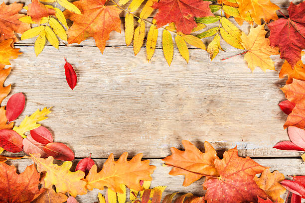 istock Bright autumn leaves old wooden surface with copy space 612254824