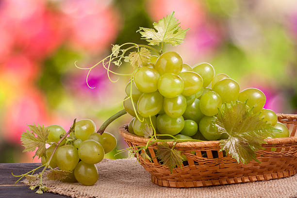 istock green grapes in a wicker basket on wooden table with 612258032