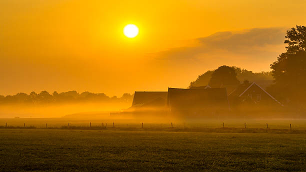 Orange sunrise over Dutch countryside