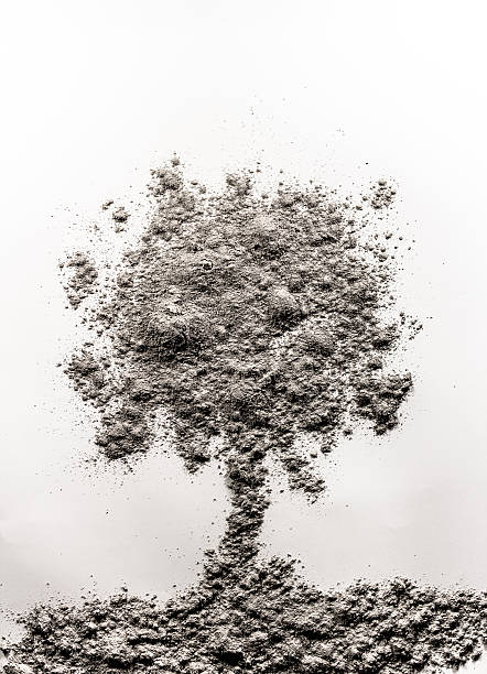 istock Tree relief shape made of pile of ash, dust 612258640