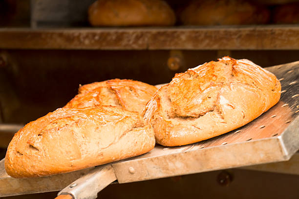 istock Fresh Baked Farmers Bread 612259466