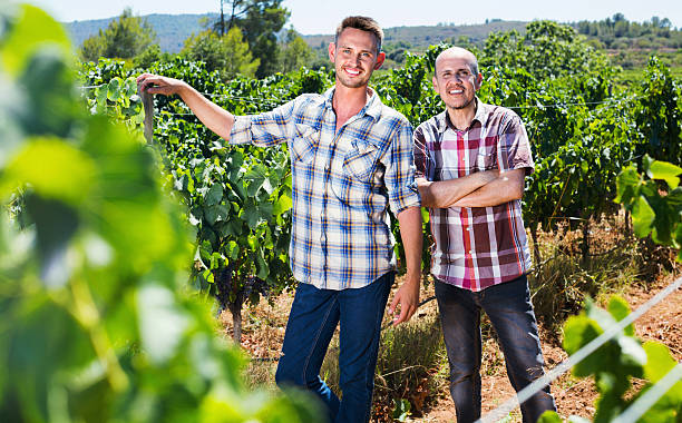 istock Two  gardeners standing together in grapes tree yard 612260714