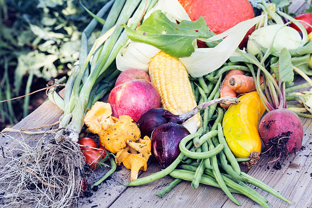 verdura harvest freschezza da giardino - kohlrabi turnip cultivated vegetable foto e immagini stock