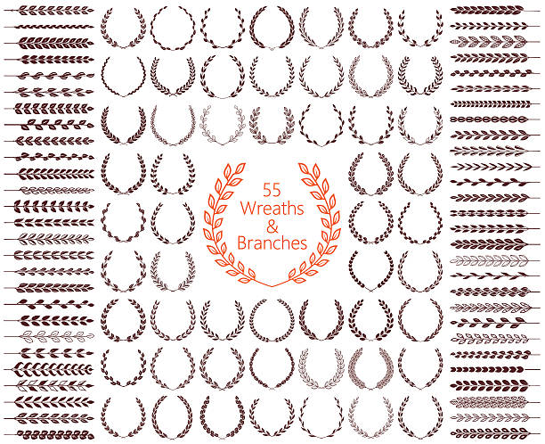 Wreaths and branches set. Vector illustration. Wreaths and branches set. Vector illustration. bay tree stock illustrations