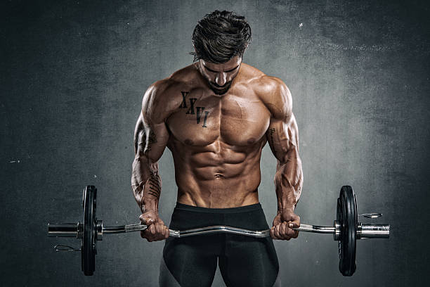 Body Building Workout Muscular Men Exercise With Weights. He is performing barbell biceps curls bicep photos stock pictures, royalty-free photos & images