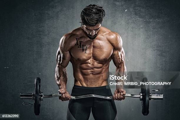 Body Building Workout Stock Photo - Download Image Now - Body Building, Gym, Health Club
