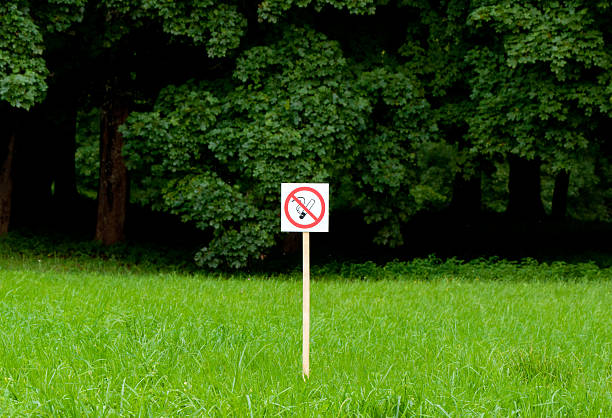 No smoking sign in the park on bright green trees stock photo