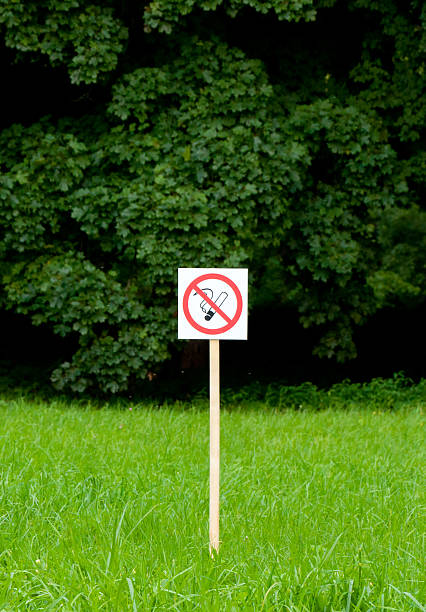 No smoking sign in the park on bright green trees stock photo