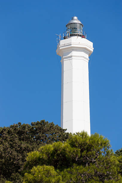 istock santa maria lighthouse of Leuca 612265990