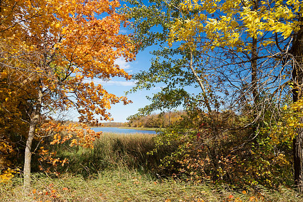 istock Autumn in Minnesota - Colorful Trees 612267032