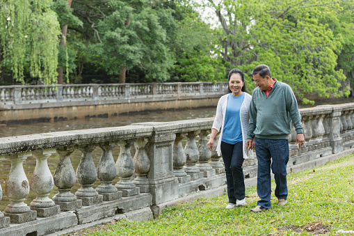 Portrait of a happy senior couple of Asian ethnicity, walking in the park, side by side by the water, holding hands.