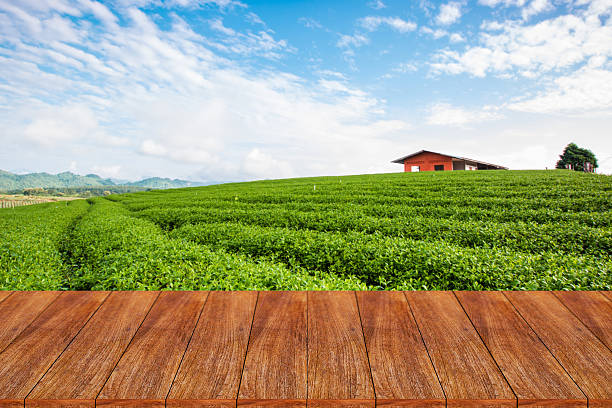 istock Empty wooden table and blur tea plantation background 612267174
