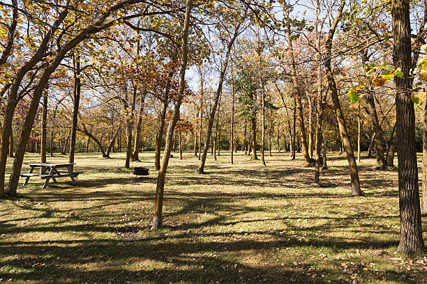 istock Park in Autumn with Picnic Table and Firepit 612267290