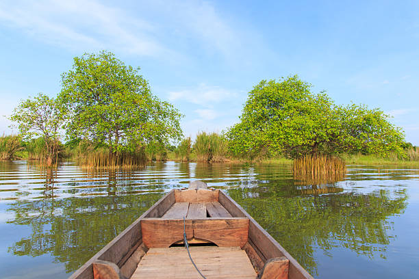 istock Lamphu tree on the water, Phatthalung, Thailand. 612267384