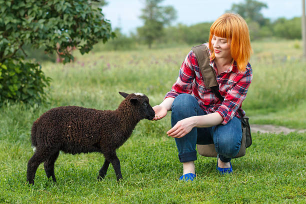 istock Pretty red-haired young woman with a black lamb 612267534