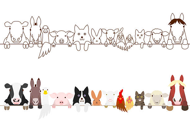 ilustrações de stock, clip art, desenhos animados e ícones de farm animals border set - dog group of animals variation in a row