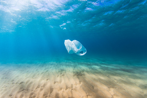 Contaminación por bolsas de plástico en el océano photo