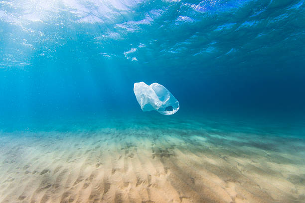 Plastic bag pollution in ocean A plastic bag drifts in the clear blue ocean as a result of human pollution. Perfect for ocean conservation theme. (This bag was collected and taken out of the ocean) plastic marine life stock pictures, royalty-free photos & images