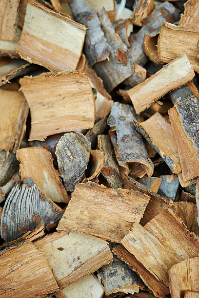istock Chinese herbal medicine 612270342