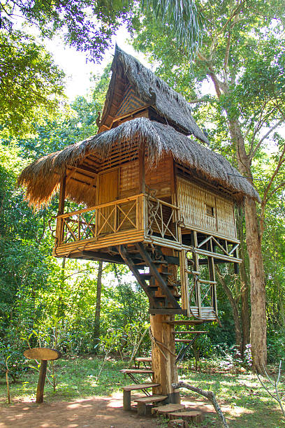 istock little hut in the forest 612368944