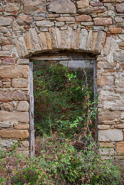 istock Remains of medieval door 612369006