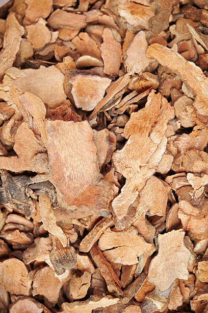 istock Chinese herbal medicine 612369404