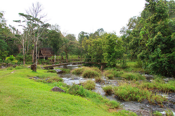 istock Tad Yaung waterfall, Champasak Laos 612369916