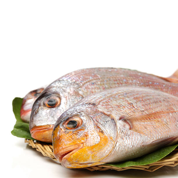 istock Raw porgy 612370002