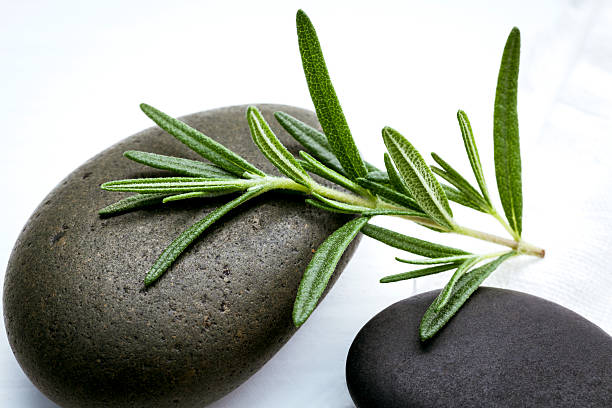 Grass green stack of pebble stones on table