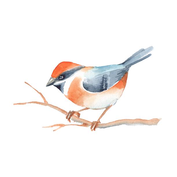 istock Bird on branch. Watercolor painting. 612372340