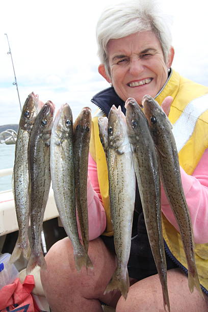 Smiling old lady with fish stock photo