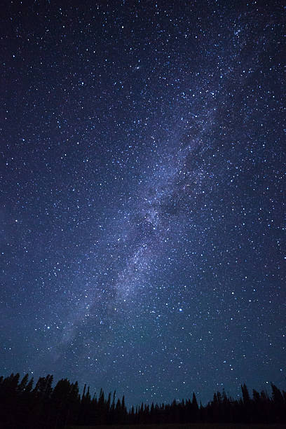 istock Blue dark night sky with stars above field of trees. 612380794