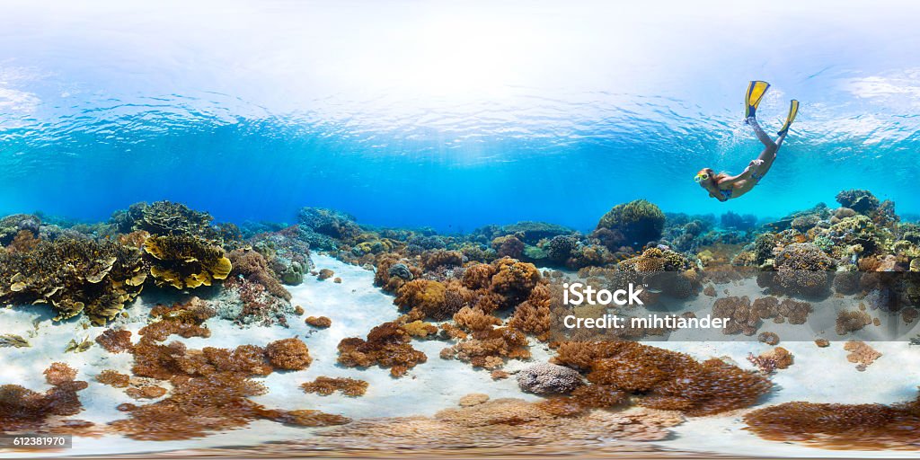 Seamless panorama of the sea floor Spherical, 360 degrees, seamless panorama of the lady freediver exploring the sea floor with corals 360-Degree View Stock Photo