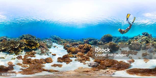 Seamless Panorama Of The Sea Floor Stock Photo - Download Image Now - 360-Degree View, Equirectangular Panorama, Sea