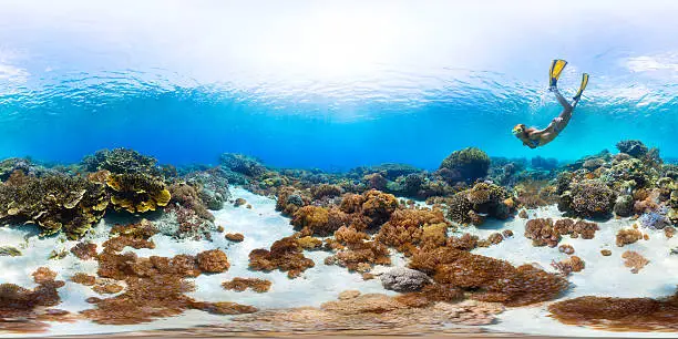 Photo of Seamless panorama of the sea floor