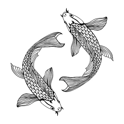 beautiful koi carp fish illustration in monochrome. Symbol of love