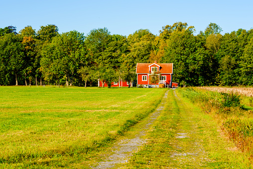 Morrum, Sweden - October 4, 2016: Environmental documentary of traditional Swedish small red home surrounded by forest and field in early fall. Country road lead up to house.