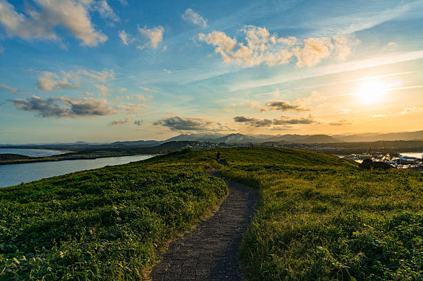 Path on Muttonbird Island Nature Reserve, Coffs Harbour Path over hill on Muttonbird Island Nature Reserve, Coffs Harbour coffs harbour stock pictures, royalty-free photos & images